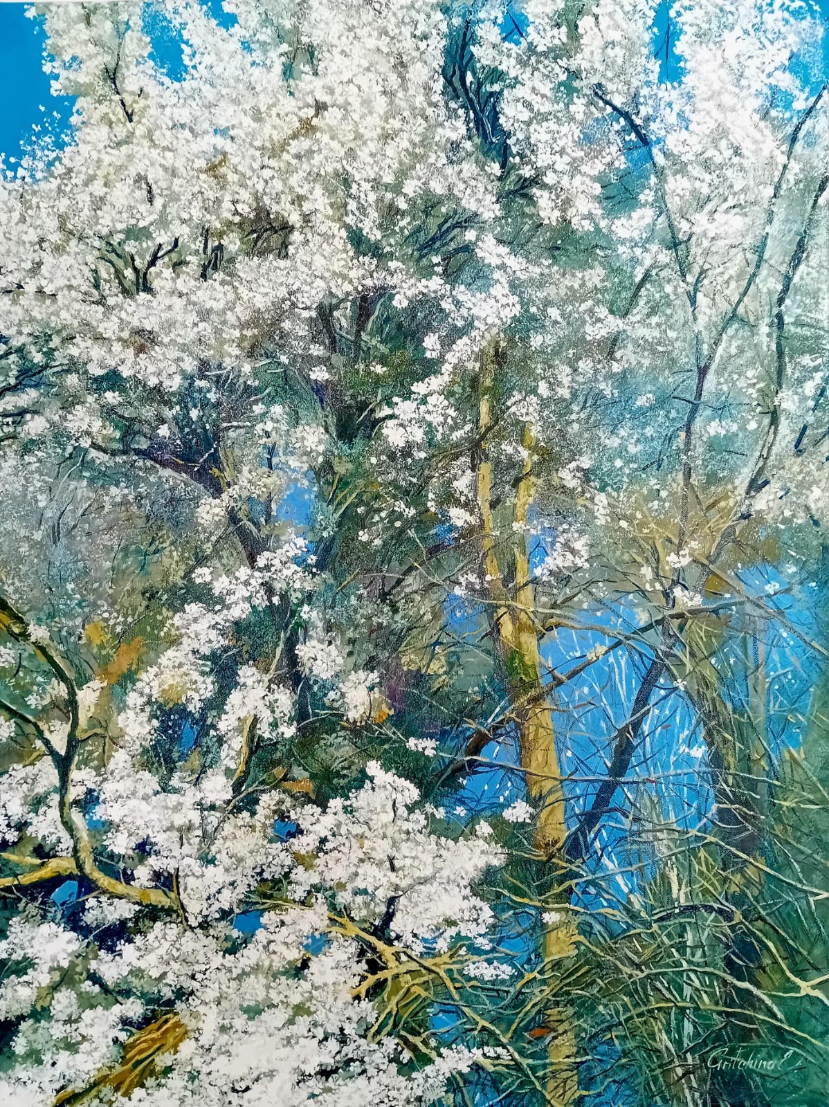 Blumen und Pflanzen