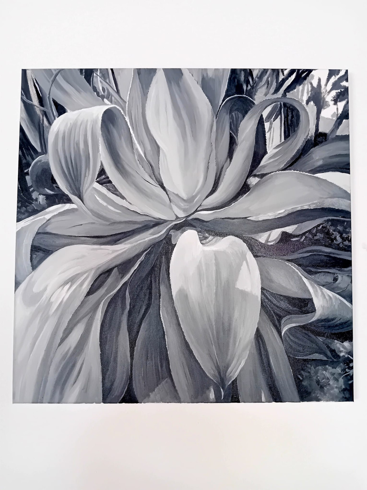 Agave in Monochrom – Zeitlose Eleganz in Schwarz-Weiß