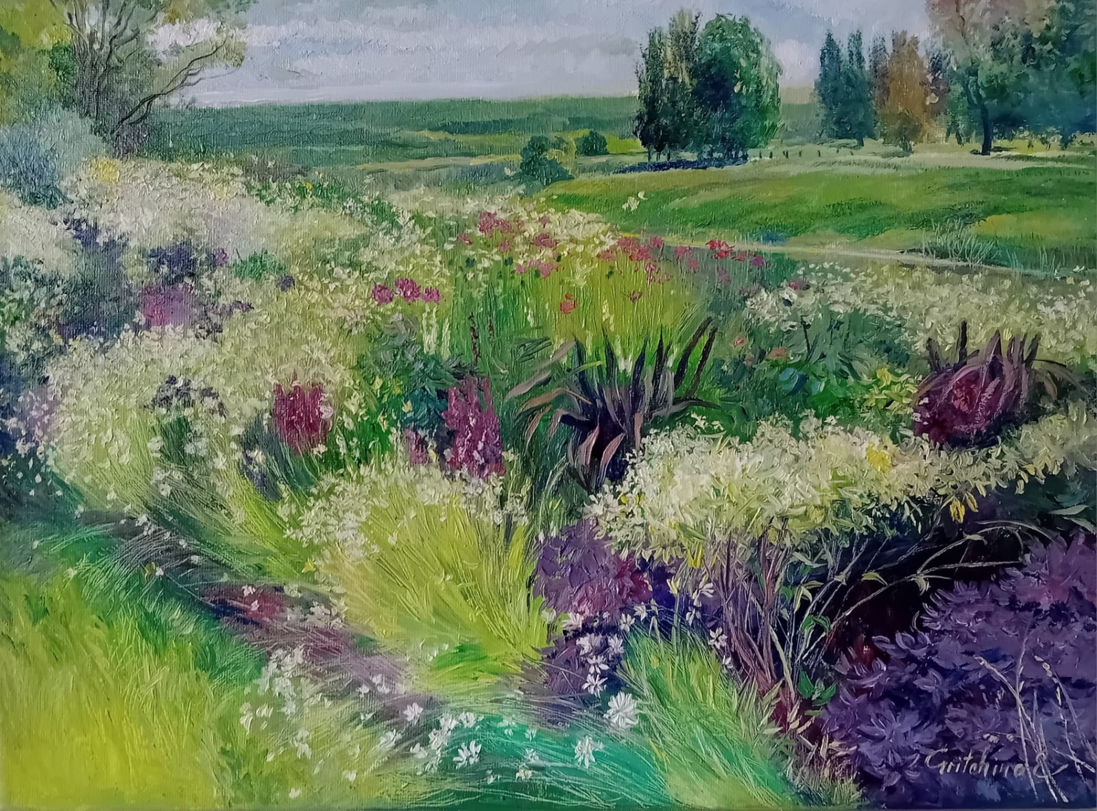Sommerwiese im Licht der Weite