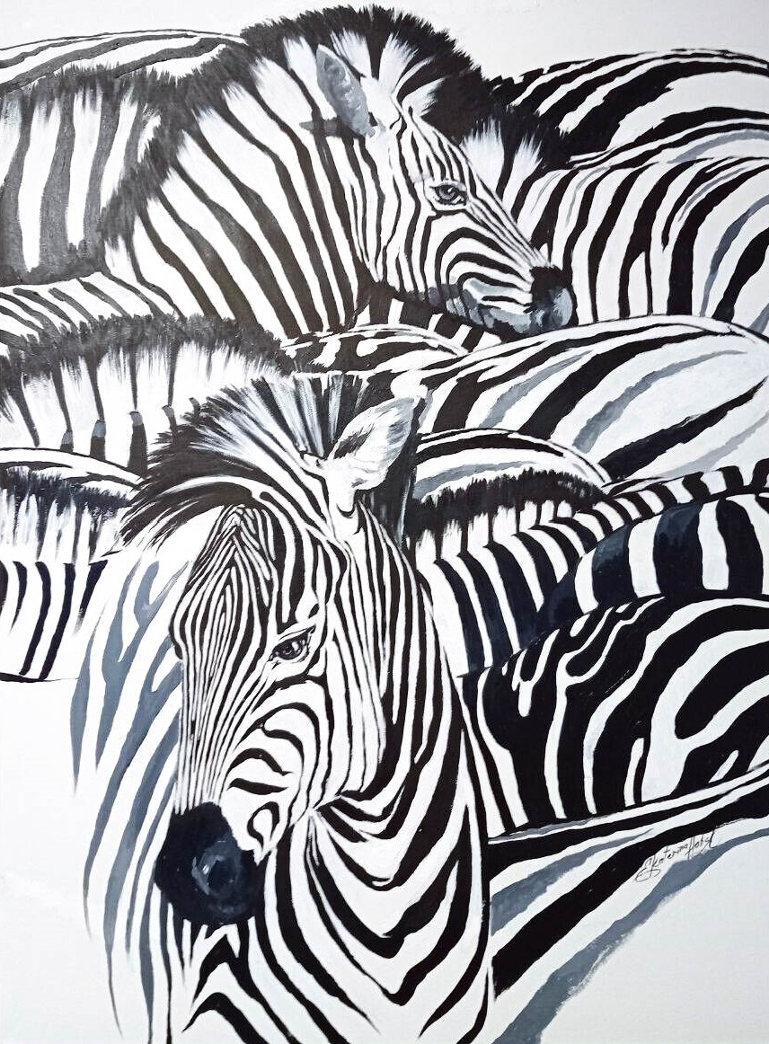 Zebras